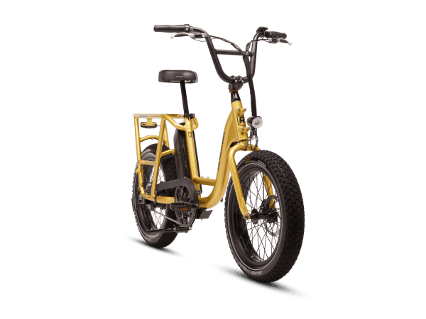 RadRunner 2 Electric Utility Bike - Trick Electric Bikes ebike rentals 
