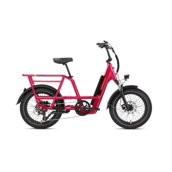 RadRunner 3 Plus Electric Utility Bike - Trick Electric Bikes ebike rentals 