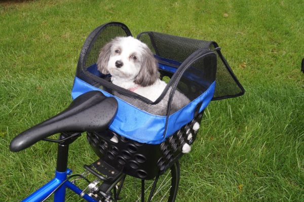 Pet Cover for DairyMan Basket - Image 11