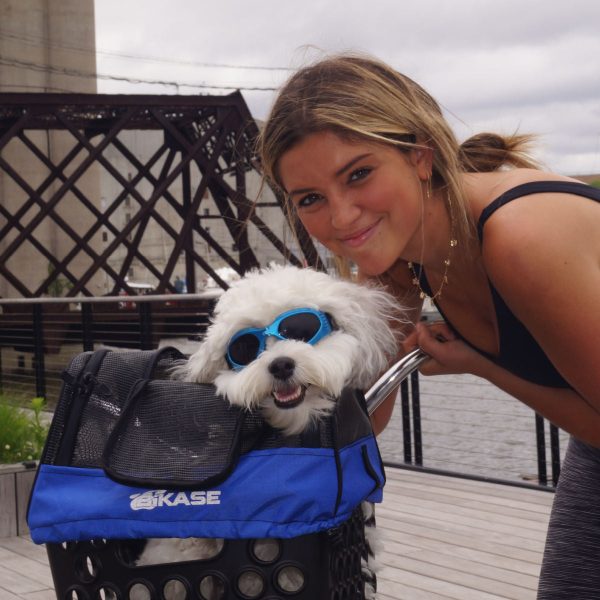 BIKASE Pet Basket - Image 2