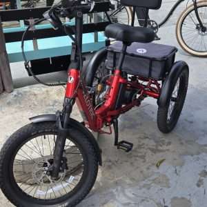 VELOTRIC Triker 1