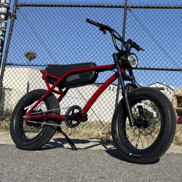 HBBC DTR Premium 20" Electric Bike - Image 4