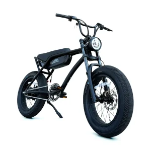 HBBC DTR Premium 20" Electric Bike