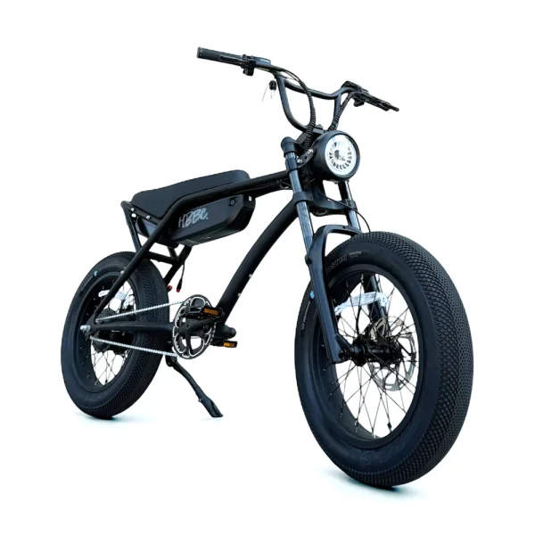 HBBC DTR Premium 20" Electric Bike