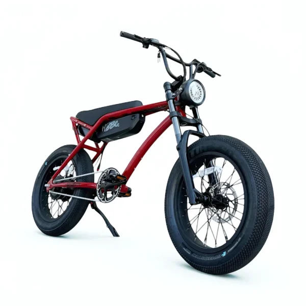 HBBC DTR Premium 20" Electric Bike - Image 9
