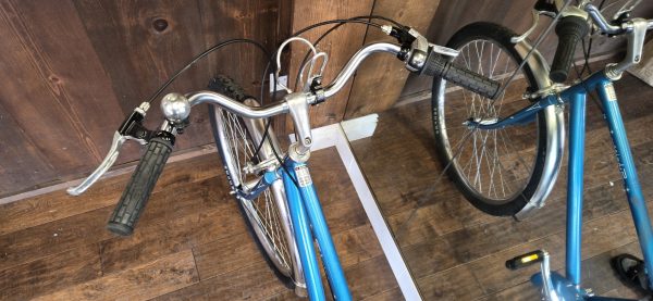 Schwinn Twinn Tandem BiKE - Image 3