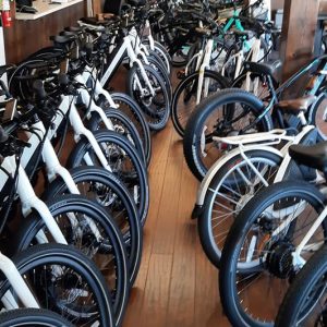 eBIKES