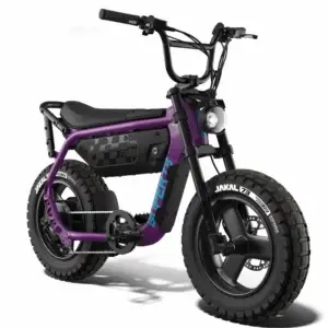 SUPER73 MZFT — Cullenberry